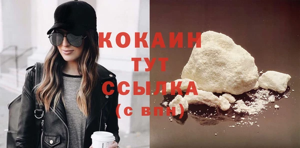 гидра Вязьма