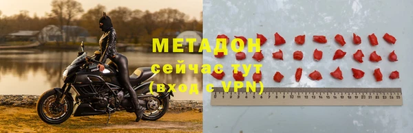 сатива Вяземский