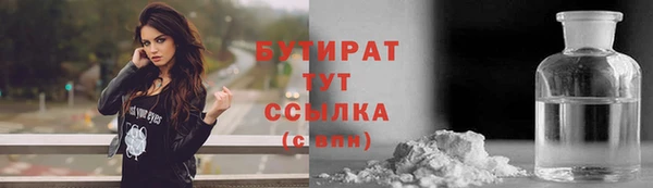 сатива Вяземский