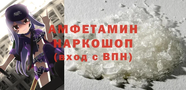гидра Вязьма