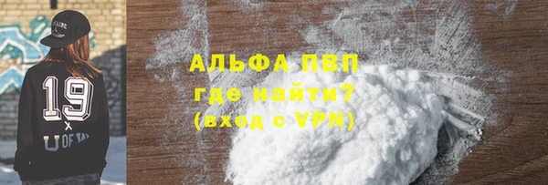 сатива Вяземский