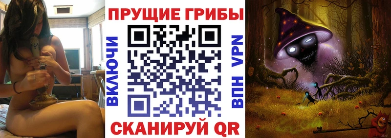 Купить закладки  Кукмор  Псилоцибиновые грибы мухоморы 